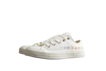 Converse All Star  Chuck Taylor
